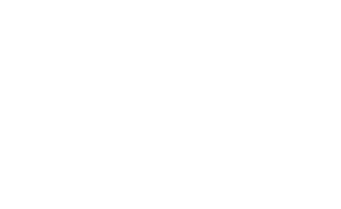 PRIMAL FINAL